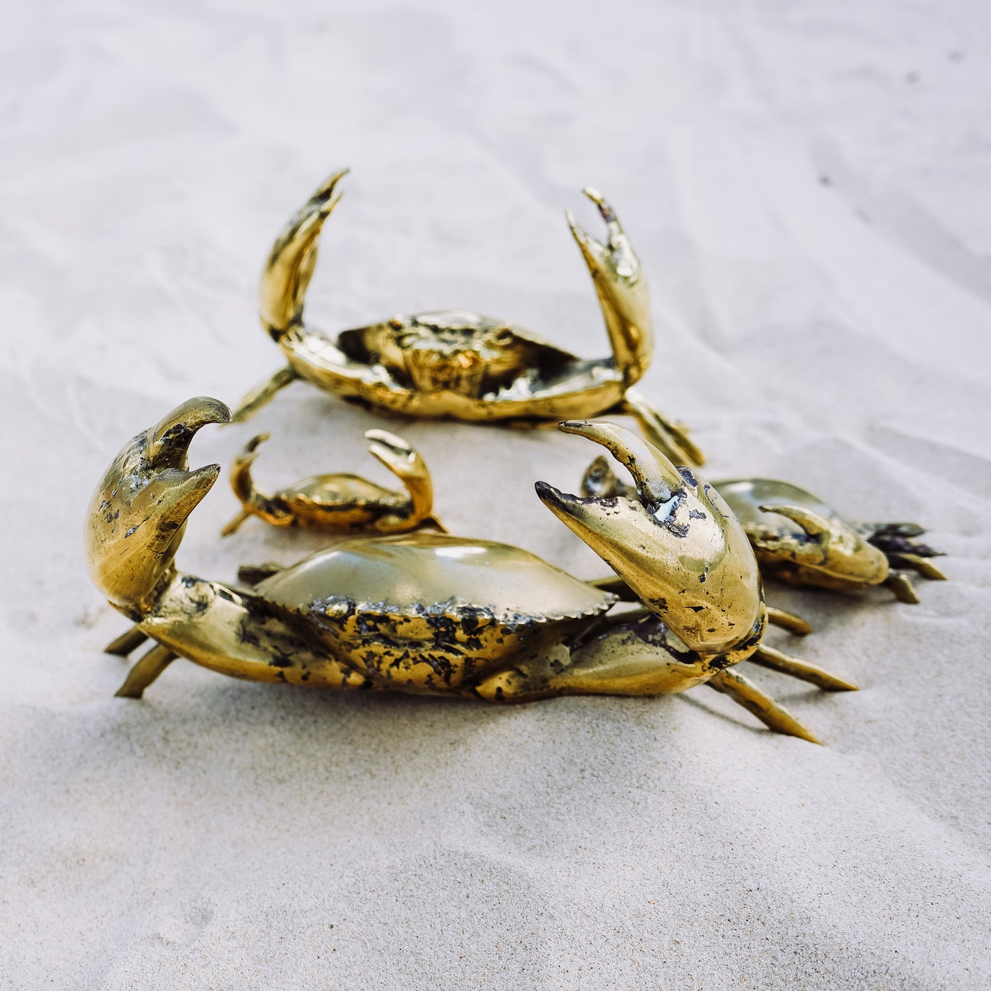 Brass Crabs - 5 Sizes Afterpay Available