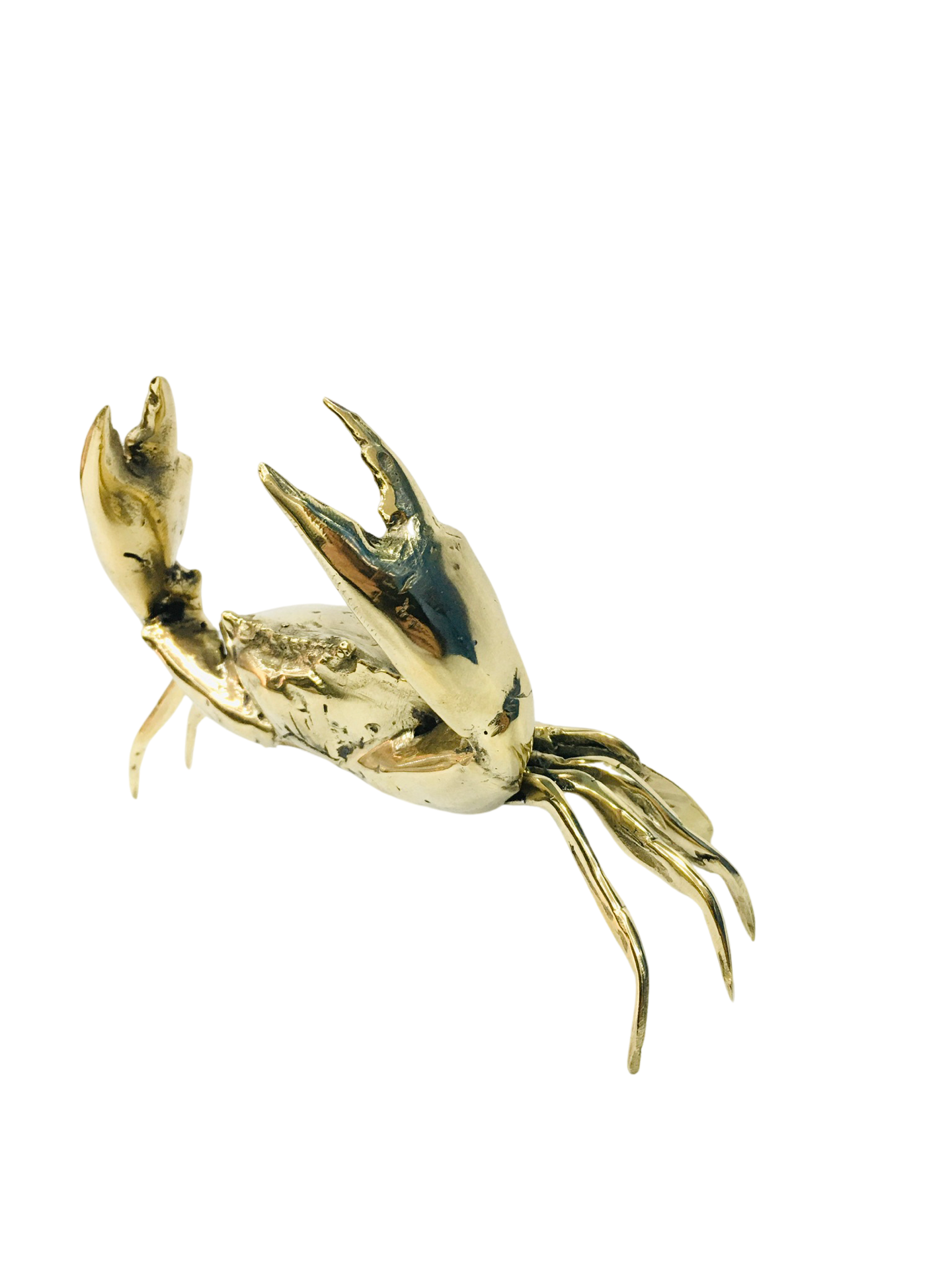 Brass Crabs - 5 Sizes Afterpay Available
