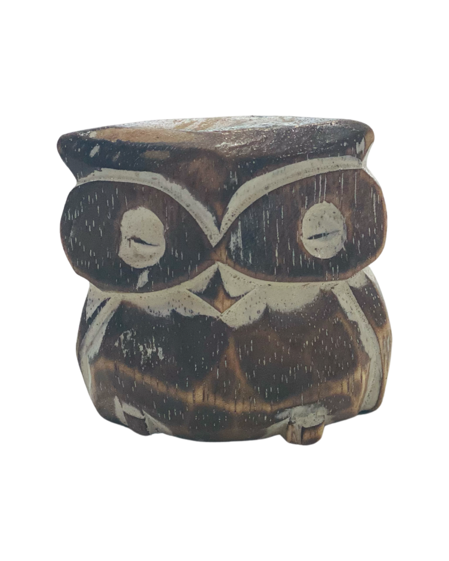 5 Pack of Mini Owls-2 Colour Choices