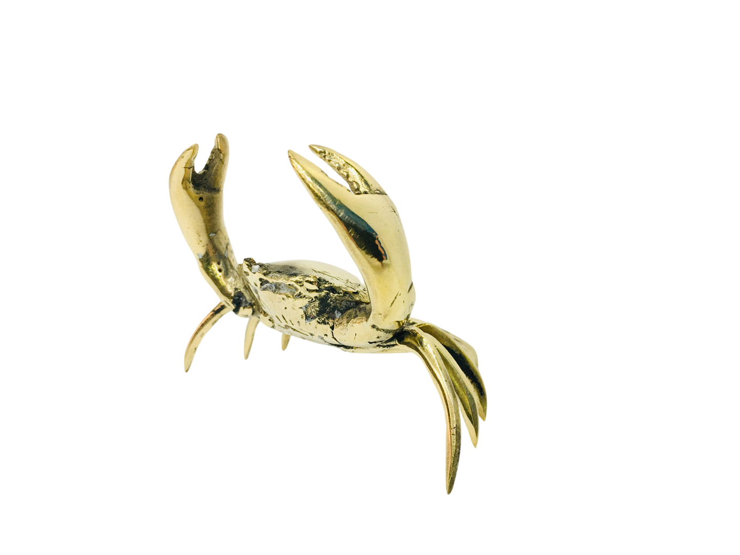 Brass Crabs - 5 Sizes Afterpay Available