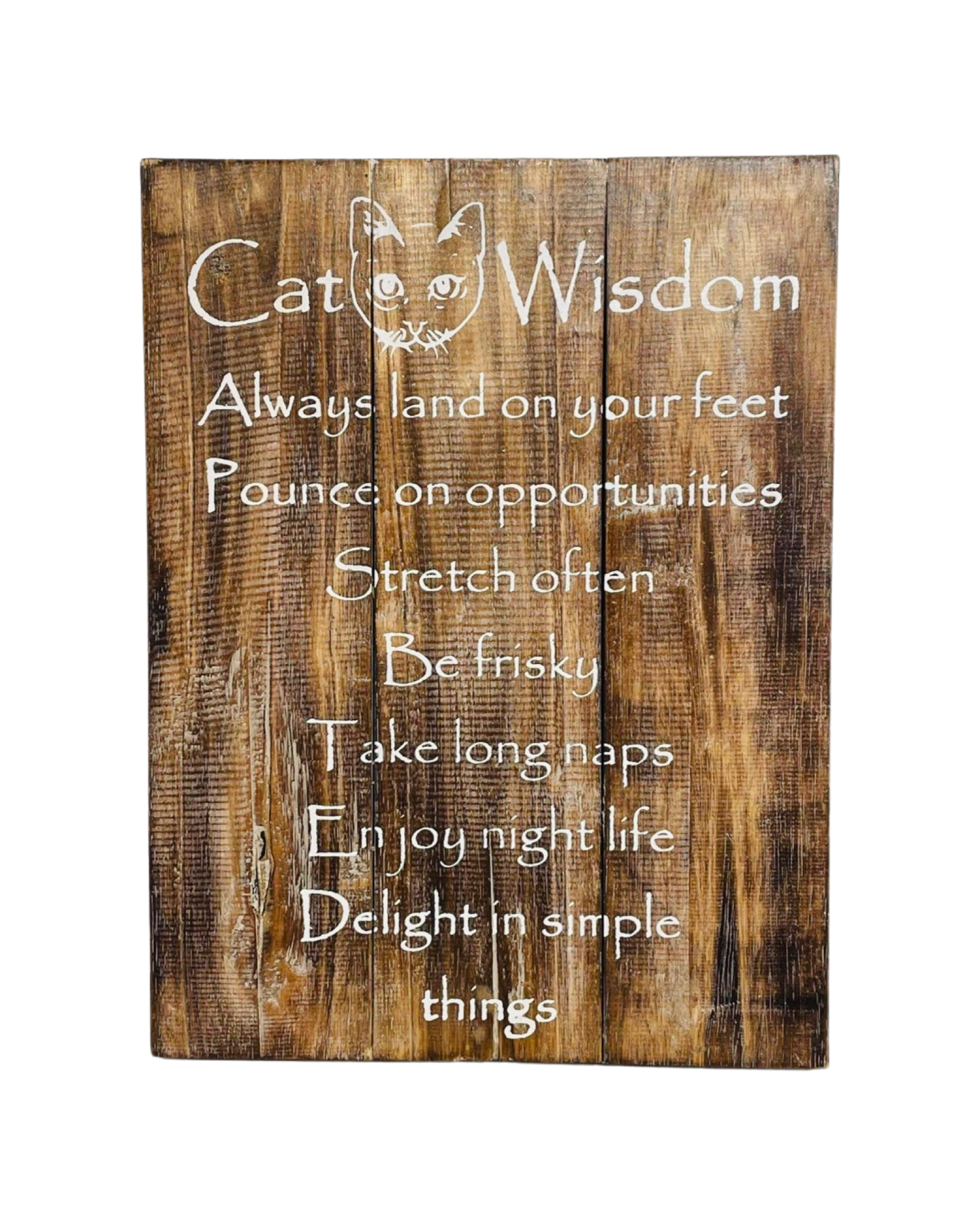 A sign that says - Always land on your feet Pounce on Opportunities Stretch often Be frisky Take long naps Enjoy night life Delight in simple things