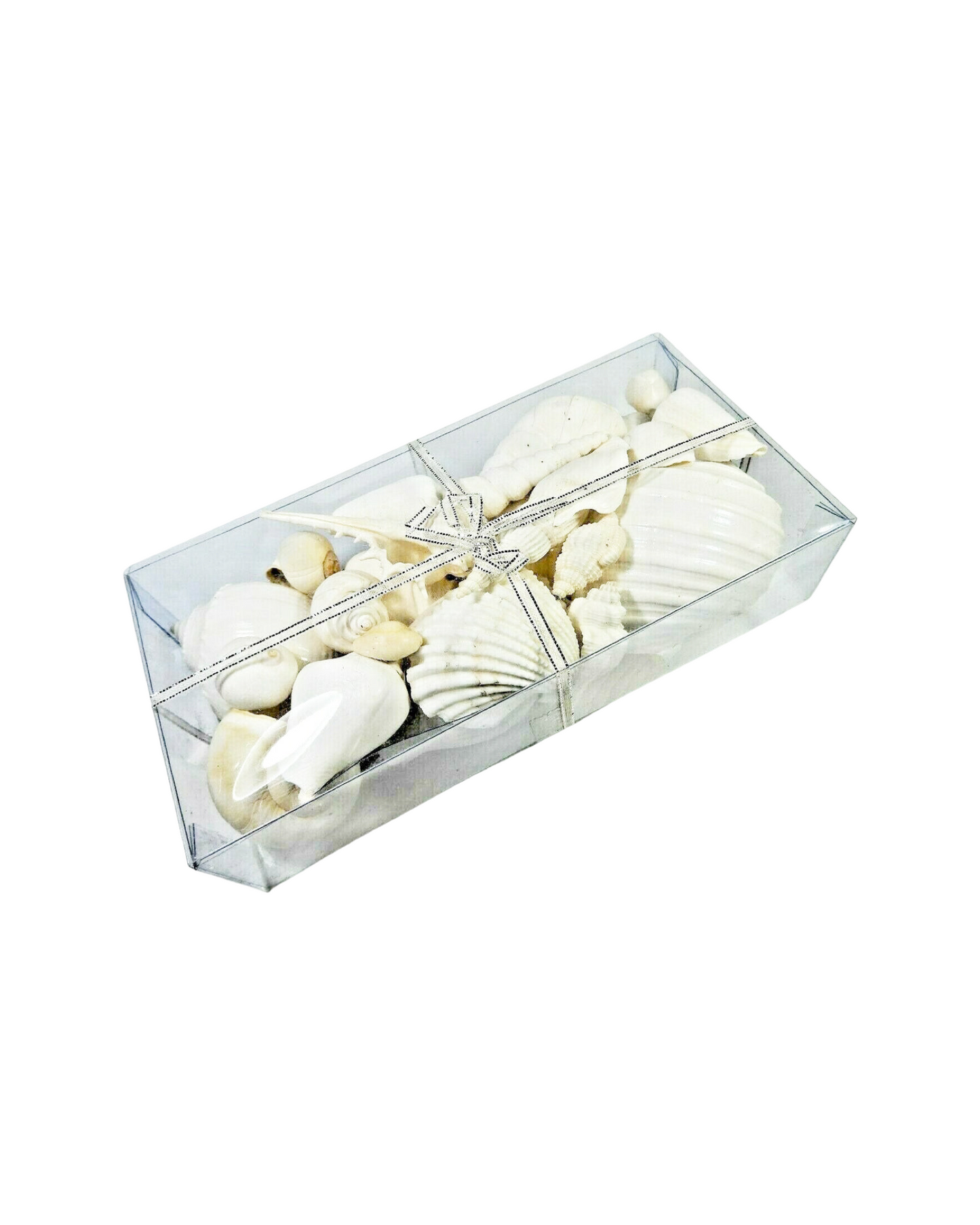 Natural Shell Boxes