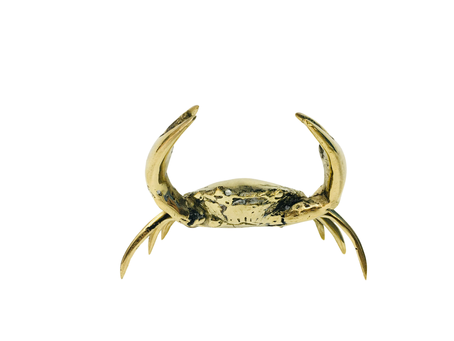 Brass Crabs - 5 Sizes Afterpay Available