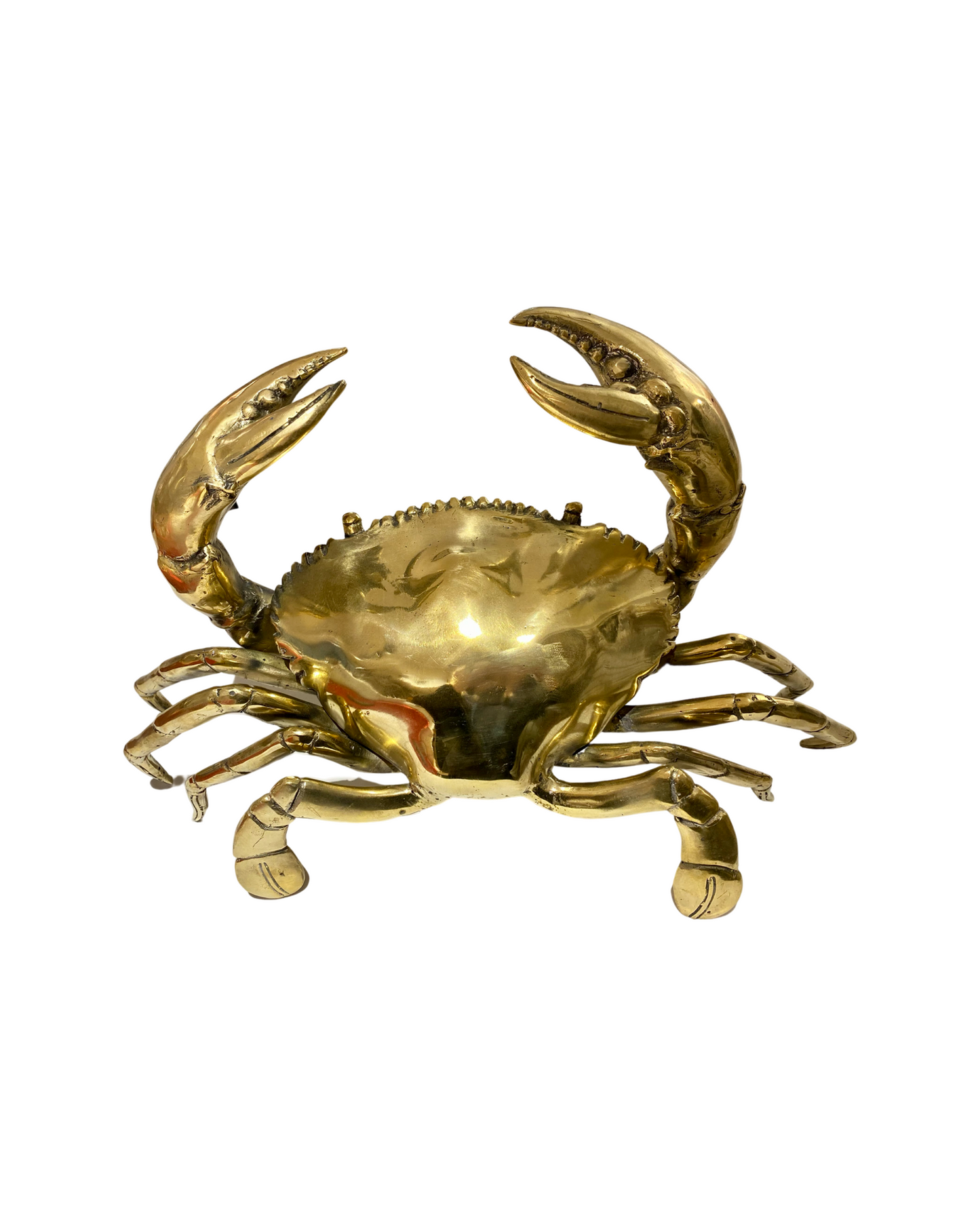 Brass Crabs - 5 Sizes Afterpay Available