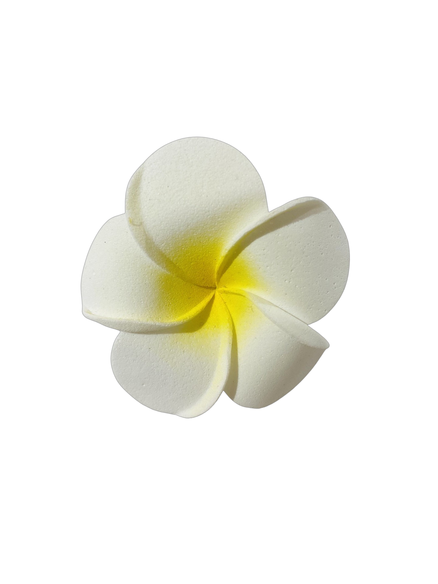 Frangipani Hair Bands - Pack 10
