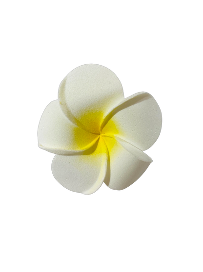 Frangipani Hair Bands - Pack 10