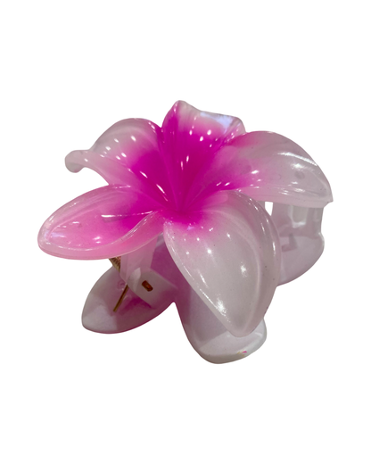 Pack 10 Frangipani Claw Hair Clips- Mixed colours