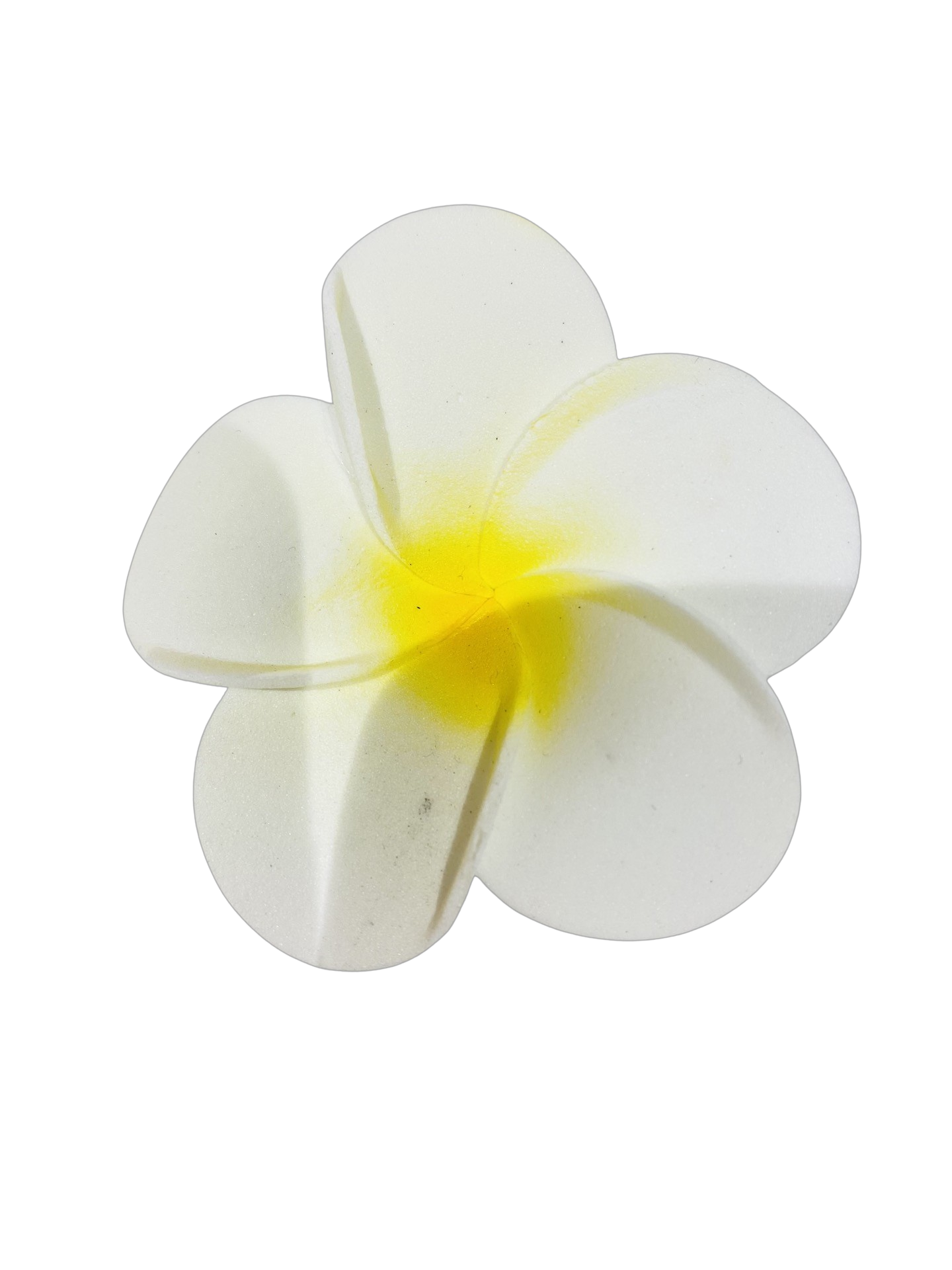 Frangipani Hair Clips- Pack 10