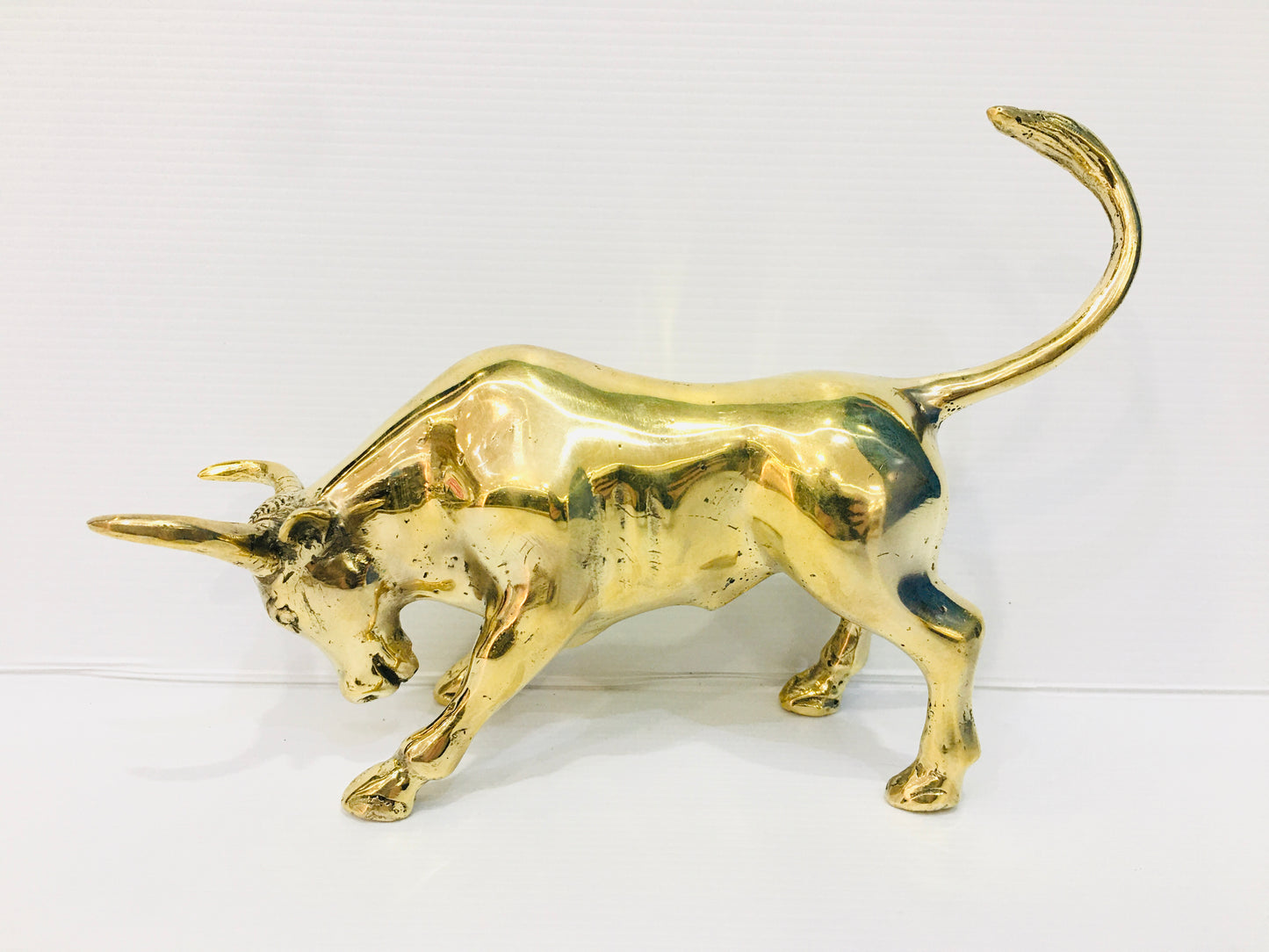 Solid Brass Wall Street Bull Afterpay Available