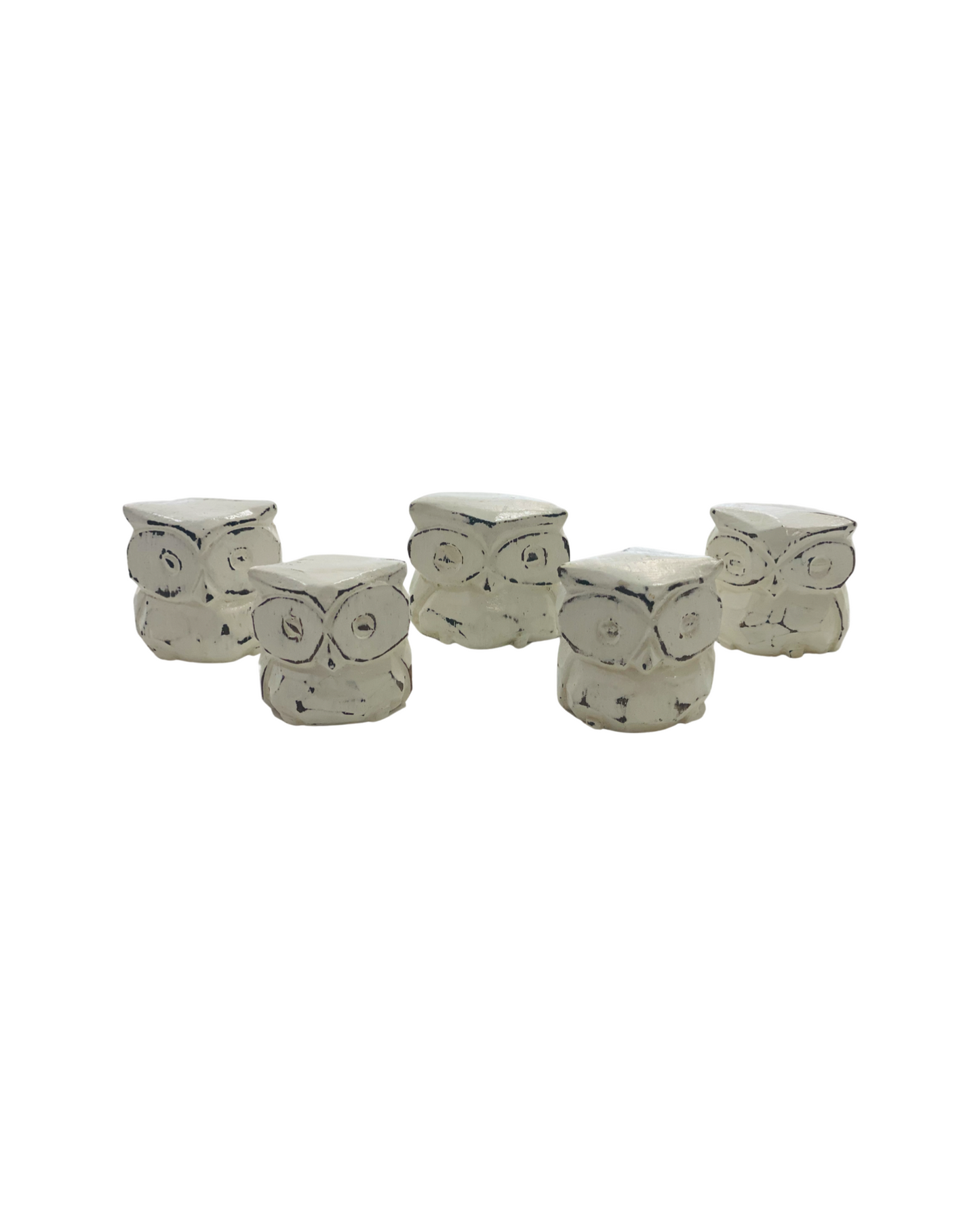 5 Pack of Mini Owls-2 Colour Choices