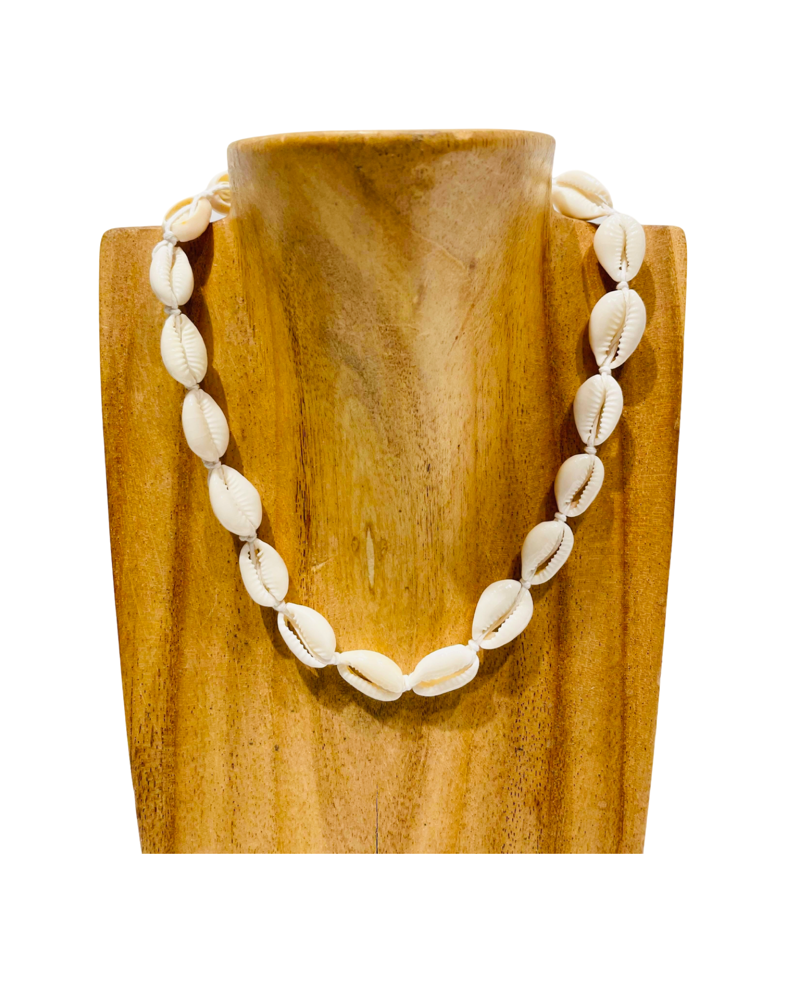 White cowrie 2025 shell choker